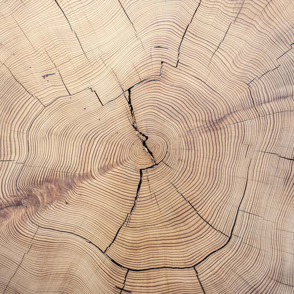 Oltre 50 anni di legno lavorato a regola d’arte